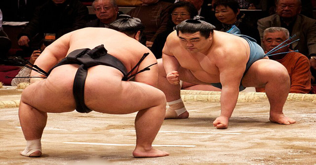 Sumo Wrestling