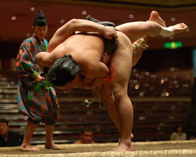 Sumo Wrestling Rings