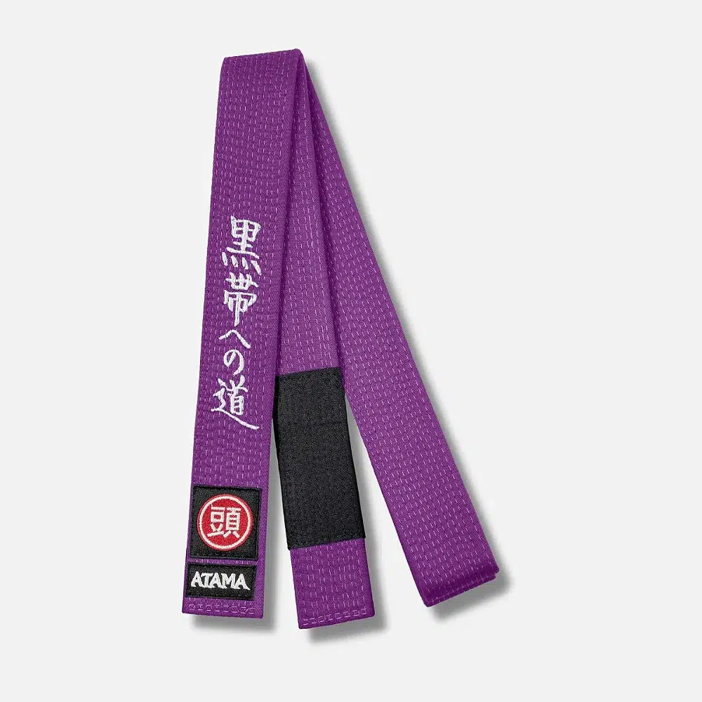 Brazilian Jiu Jitsu Purple Belt