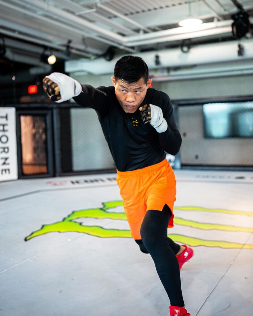 Best Chinese UFC Fighters 3 Jingliang Li