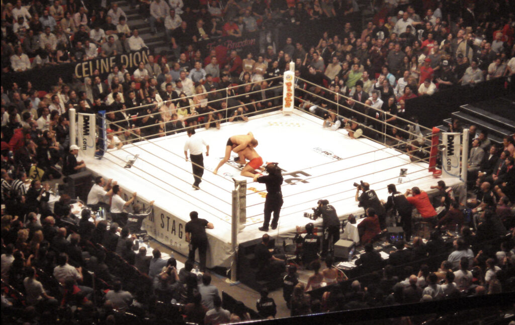 Pride Rules: The Rule Set of Pride Fighting Championship 2 Pride FC Ring