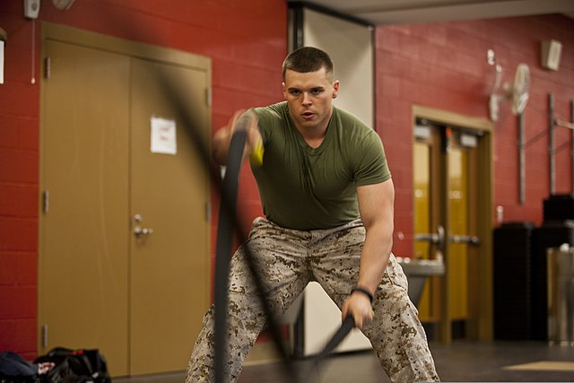 Battle Ropes