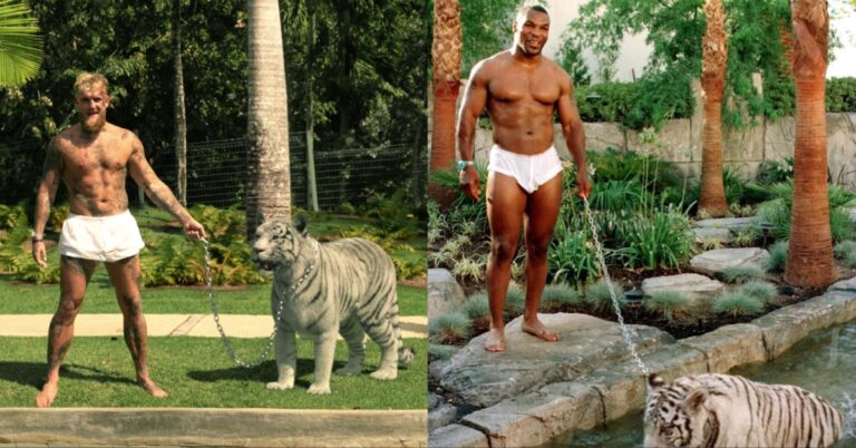 Jake Paul replicates Mike Tyson’s iconic photo with 550-pound pet white tiger: ‘Who did it better?’
