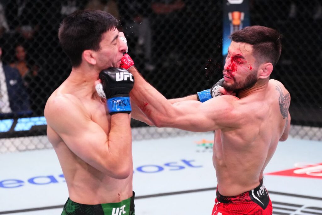 Steve Erceg KOs Schnell