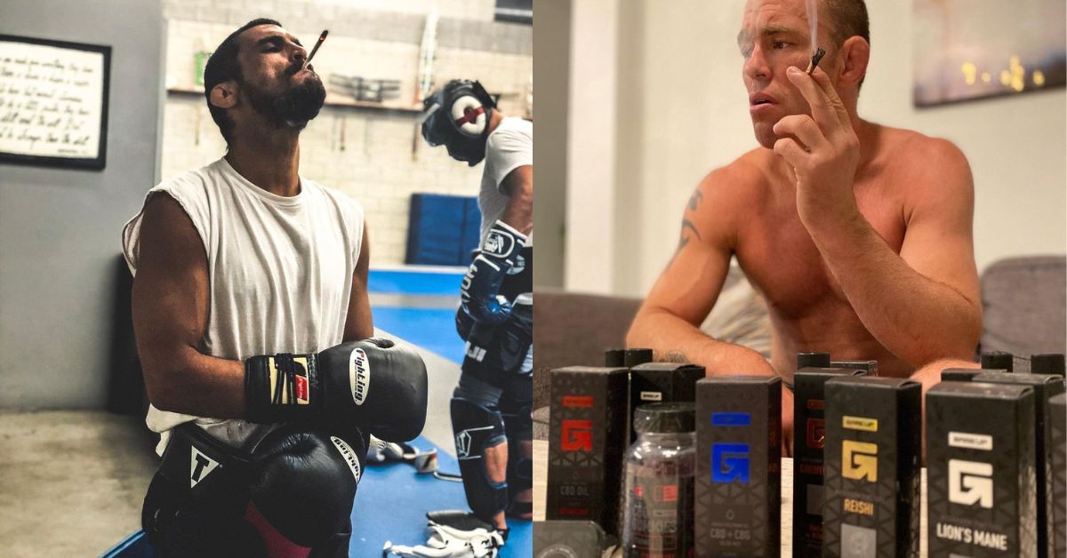 BJJ Athletes Who Use Cannabis 1 BJJ Athletes Who Use Cannabis