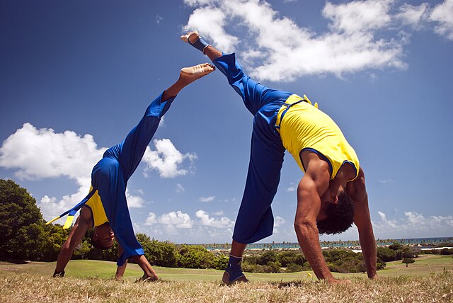 Types of Kicks: A List of Kicks From Different Martial Arts 4 Capoeira Kicks