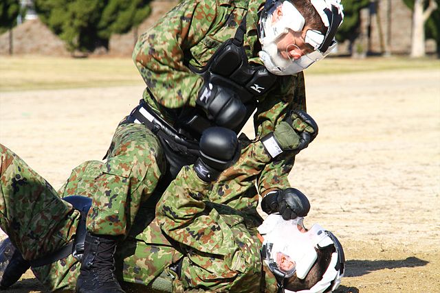 Jieitaikakutōjutsu