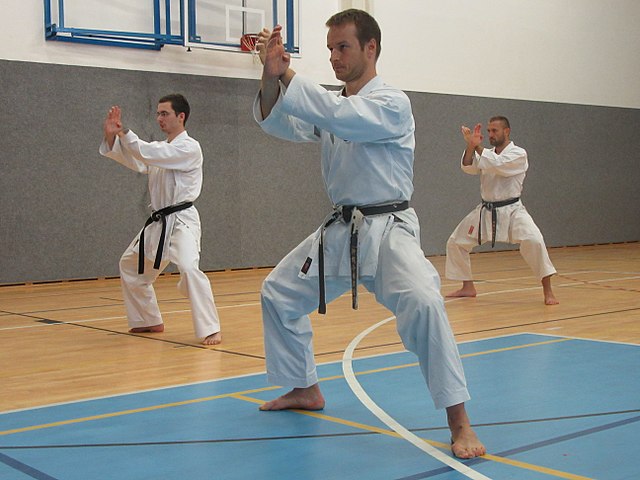 Martial Arts List A-Z 3 Karate