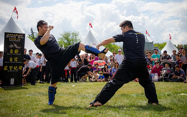 Kung Fu Wushu Kicks 