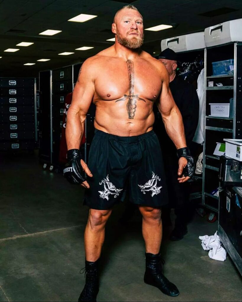 Best Pro Football Players Turned MMA Fighters 2 Brock Lesnar