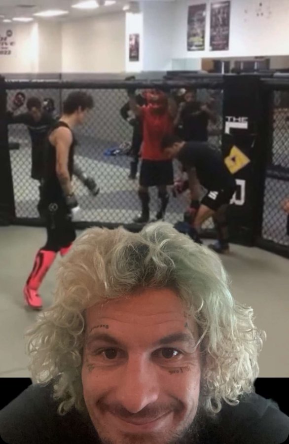 'Sugar' Sean O'Malley shares screenshot from fabled sparring session with UFC 301's Alexandre Pantoja 4 Sean O'Malley sparring Alexandre Pantoja
