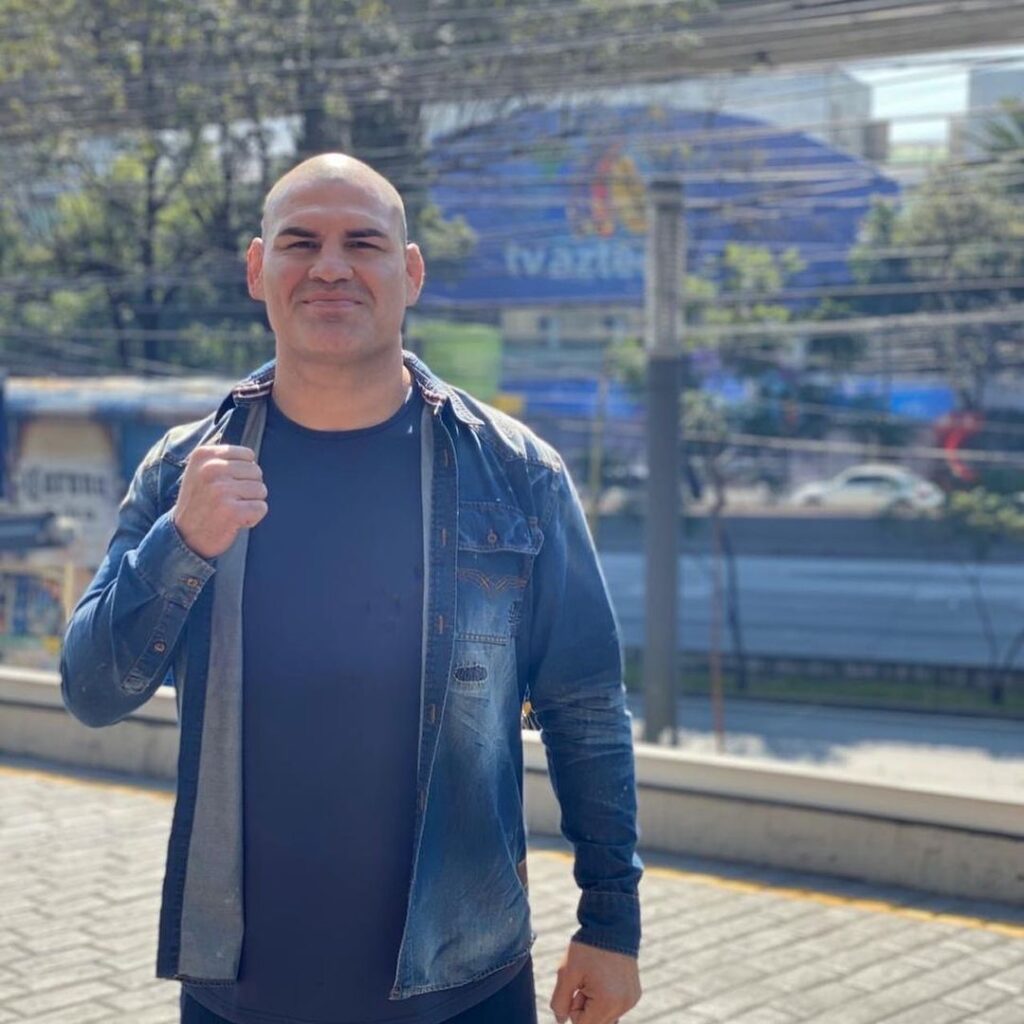 Best UFC Heavyweight Knockout Artists 3 Cain Velasquez