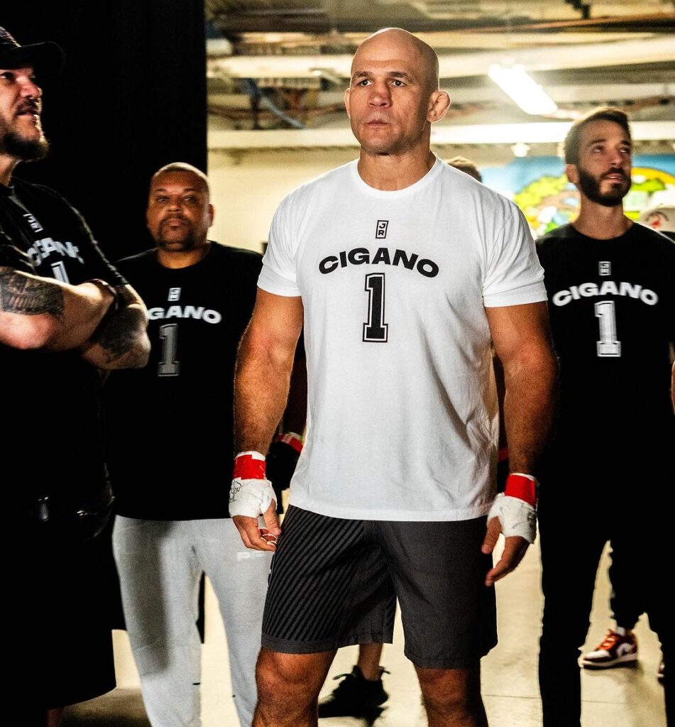 Best UFC Heavyweight Knockout Artists 4 Junior Dos Santos
