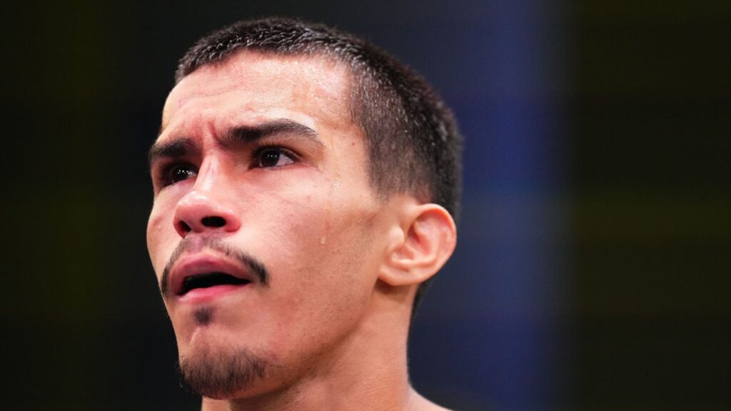 Joe Rogan compares recently released UFC fighter to an animal: 'So crazy that people get to that state' 5 r1309191 1296x729 16 9