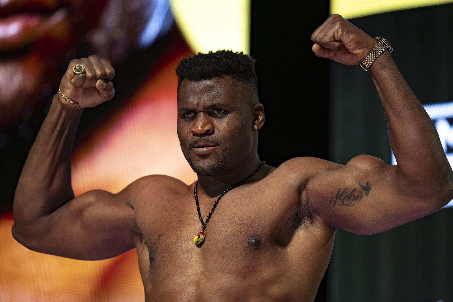 Francis Ngannou Dominates Renan Ferreira with a knockout victory
