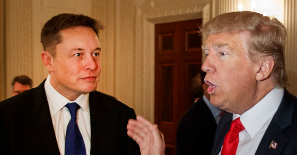 Sports Fans Laught at Elon Musk's Bizarre Claim About Defeating a Sumo Wrestler