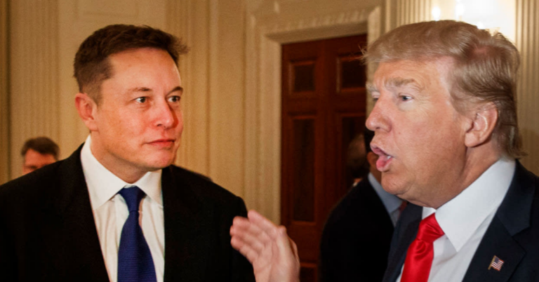 Sports Fans Laught at Elon Musk's Bizarre Claim About Defeating a Sumo Wrestler