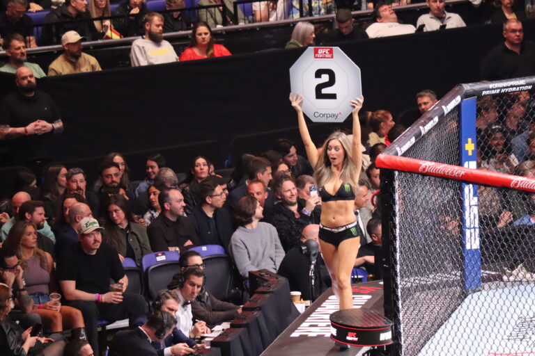 UFC Ring Girl