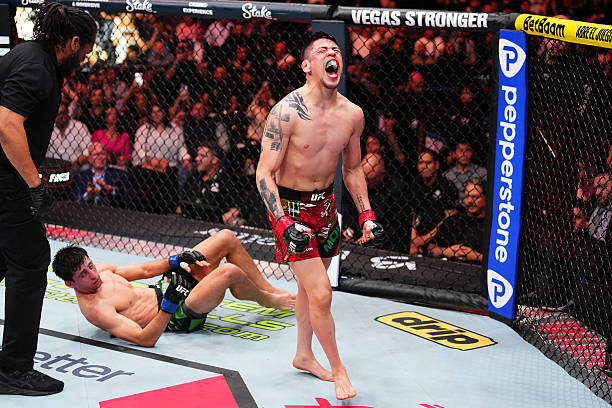 Brandon Moreno Claims Commanding Victory Against Steve Erceg via Unanimous Decision - UFC Mexico Highlights 5 gettyimages 2207566875 612x612 1