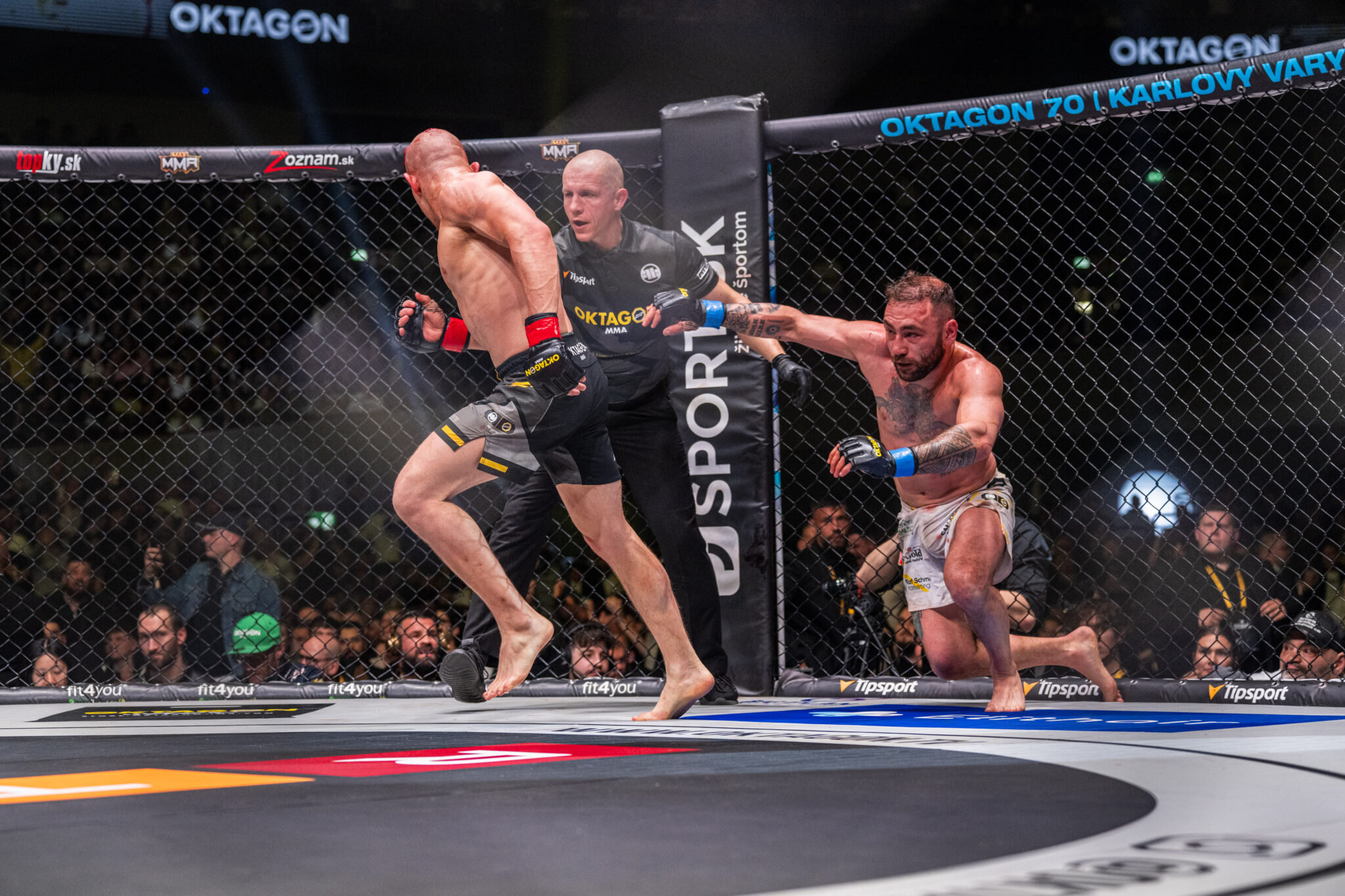 Chaos in Oktagon: MMA Fans React to Max Holzer Hump Incident Post Fight Brawl "Oh My Days." 1 Max Holzer