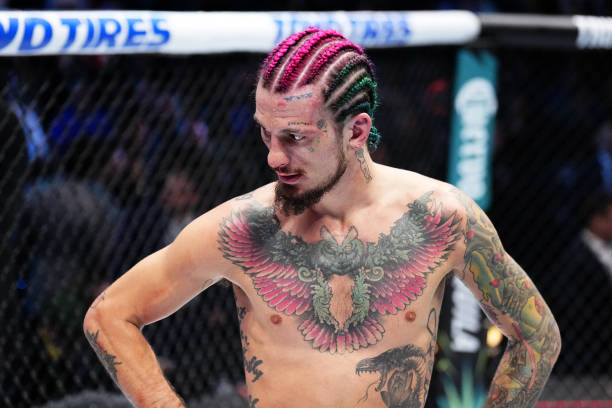Joe Rogan picks Merab Dvalishvili to beat Sean O'Malley again in UFC 316 rematch: 'He's a f*cking animal' 2 gettyimages 2172059383 612x612 1
