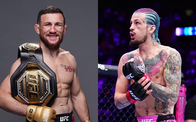 UFC 316 - Picks, Predictions & What to Expect? 2 Merab Dvalishvili vs Sean O'Malley