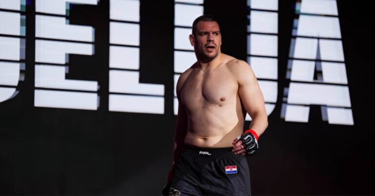 Report - Ex-PFL heavyweight champion Ante Delija signed by UFC