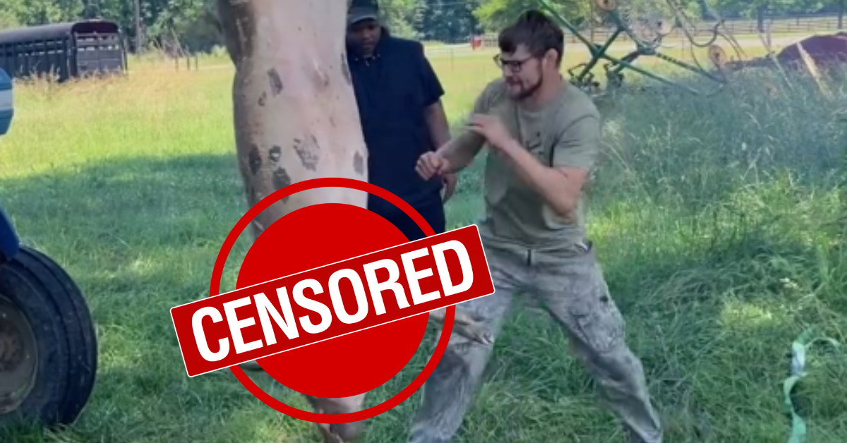 Watch: UFC’s Bryce Mitchell Swaps Heavy Bag for Hanging Pig in Viral Video – Punches Dead Pig