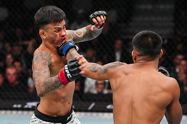 Joshua Van Stuns Brandon Royval in Epic Fight of the Year Contender - UFC 317 Highlights 3 gettyimages 2222683897 612x612 1