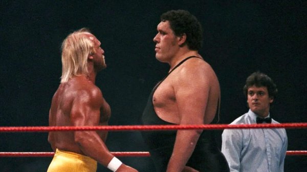 WWE Legend Hulk Hogan Dead at 71 2 97171e518806f9b6 600x338 1