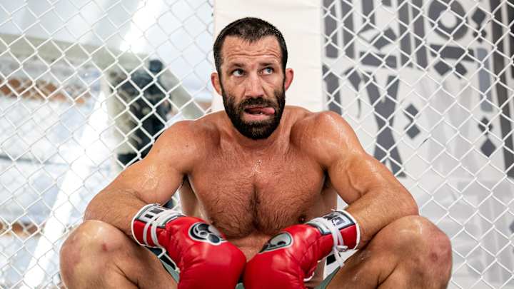 courtesy ufc