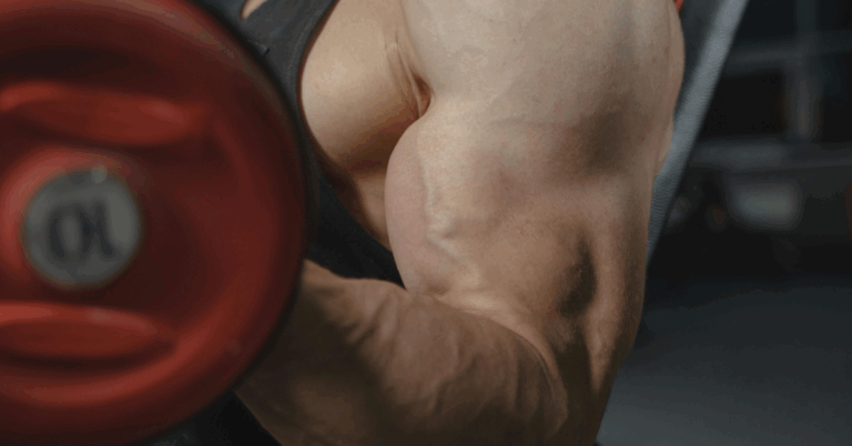 The Best Biceps Exercises According to Science - The Only List You'll Need