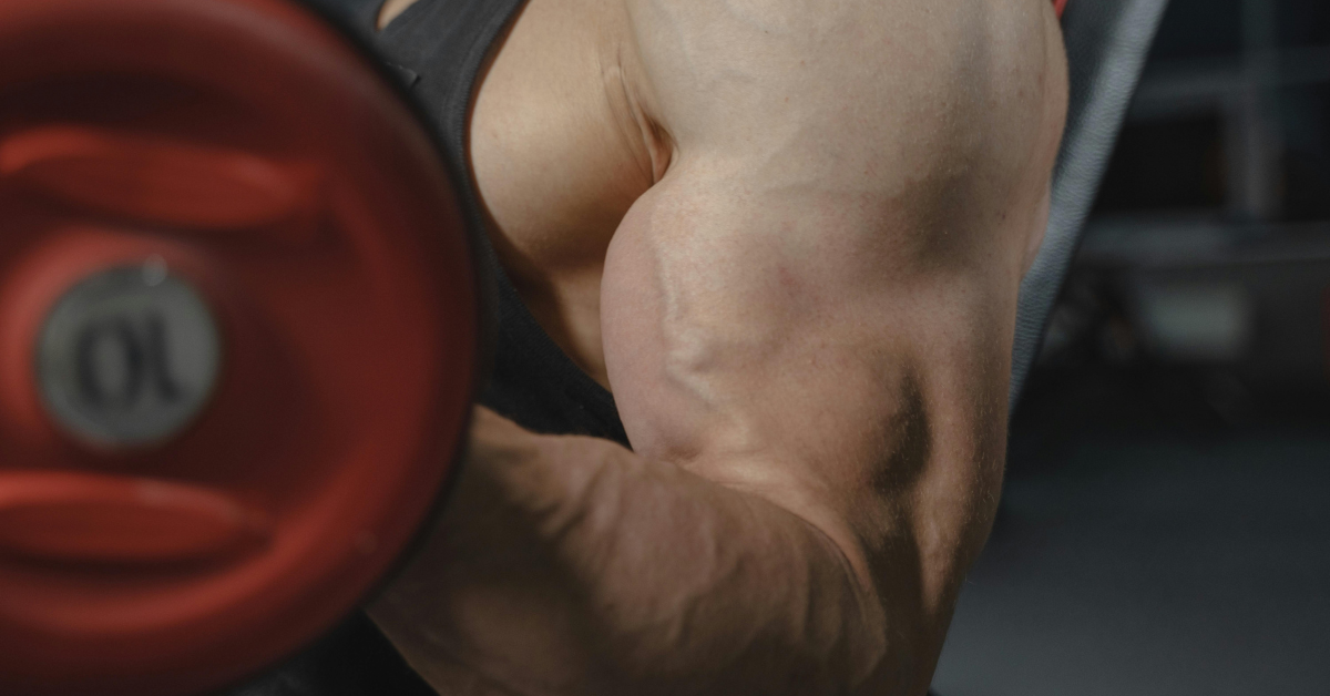The Best Biceps Exercises According to Science – The Only List You’ll Need