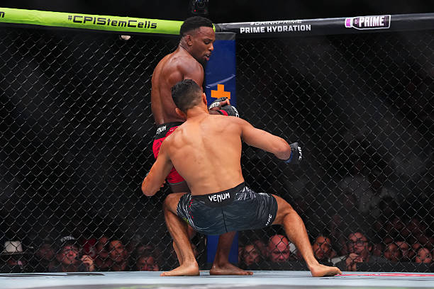 Watch: Olympic Wrestler and UFC Champ Panicked By BRUTAL Knockout at UFC 319 2 gettyimages 2230530476 612x612 1 1