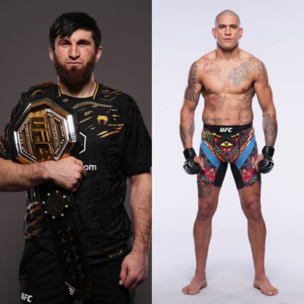 Magomed Ankalaev Alex Pereira