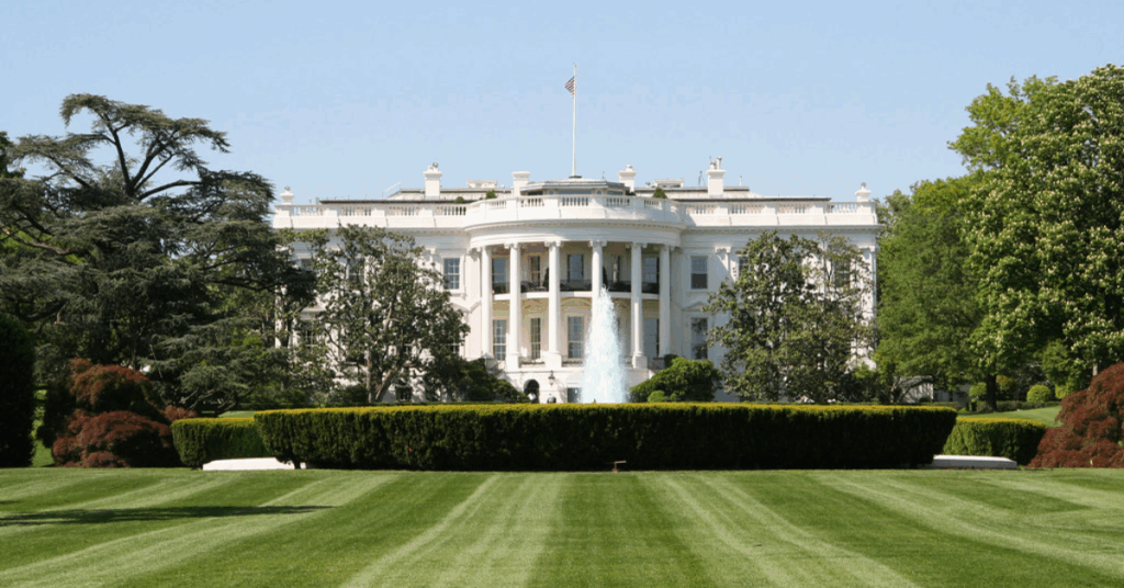 UFC White House
