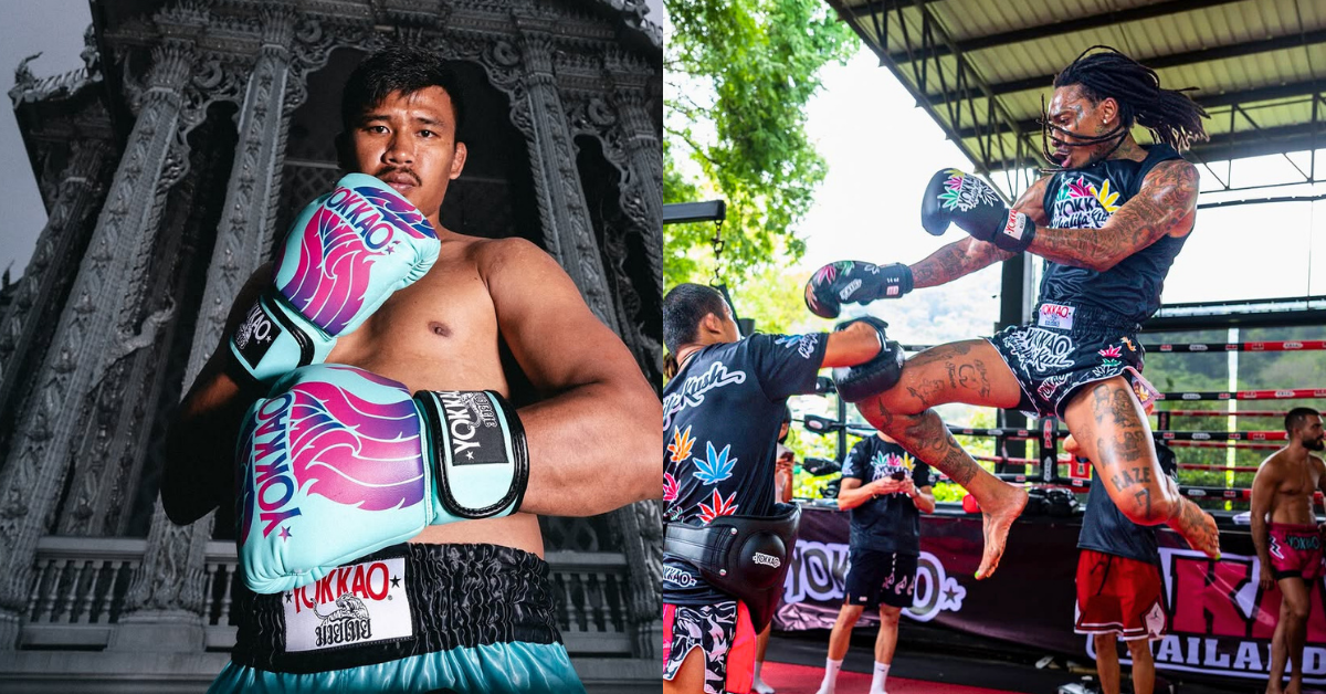 Get the Same Muay Thai Gloves Worn by Superlek and Wiz Khalifa:  YOKKAO Gloves