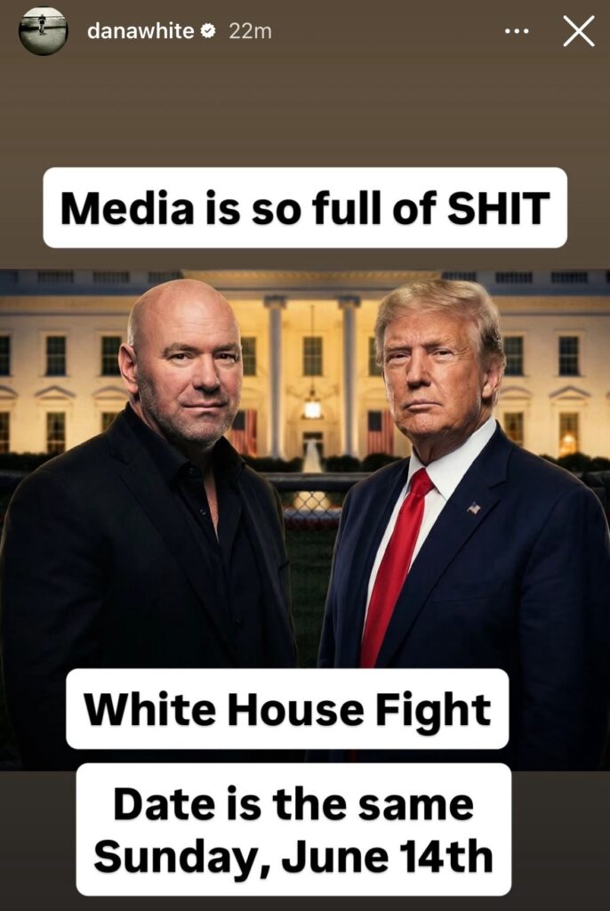 Dana White trump white house ufc