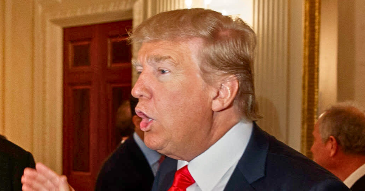 UFC Veteran Admits He Regrets Casting His Vote for Donald Trump