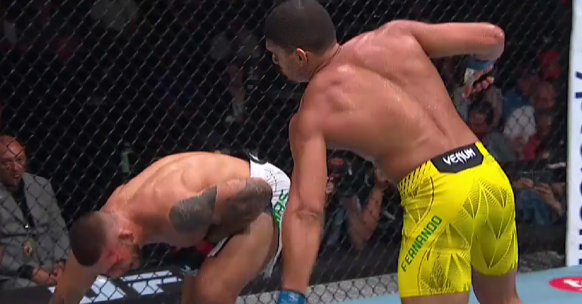 UFC 330: Lucas Fernando Shines In Debut With Body-Kick Assault On Rafael Tobias